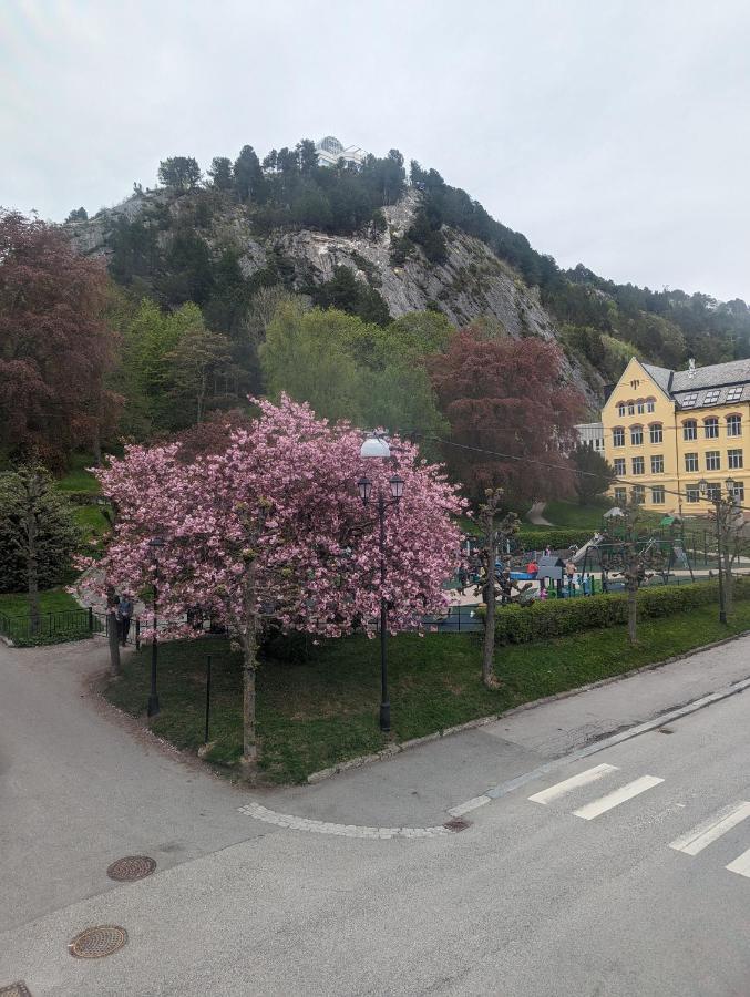 Family Friendly Apartment By The Park In The Very Center Of Ålesund Buitenkant foto